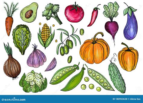 Vegetable Drawing