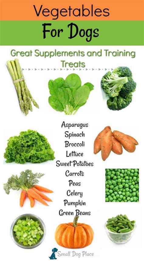 vegetable food for dogs