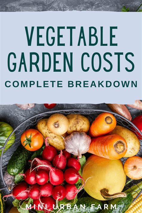Vegetable Garden Cost