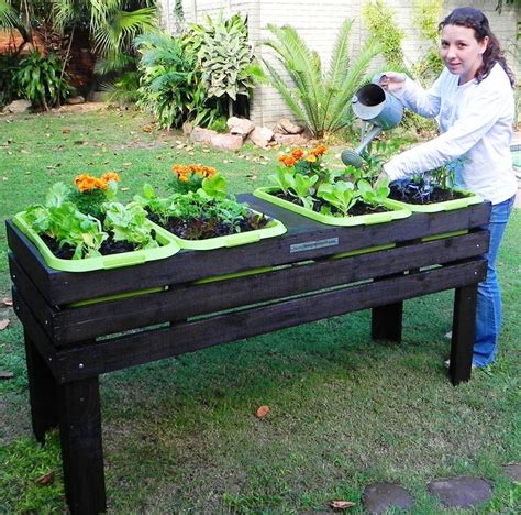 Vegetable Garden In Planters