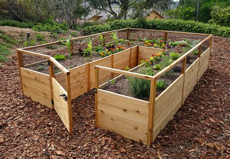 vegetable garden kit
