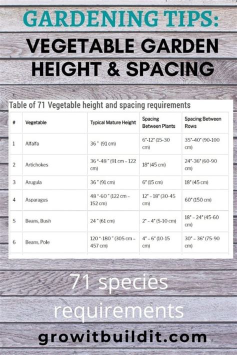Vegetable Height Chart