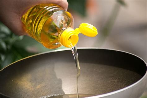 Vegetable Oil Substitute Deep Frying