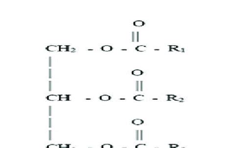 Vegetable Oil Triglyceride Composition