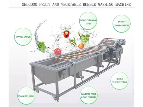 vegetable processing equipment