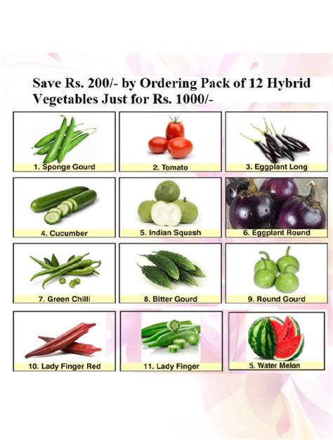 vegetable seed companies in pakistan