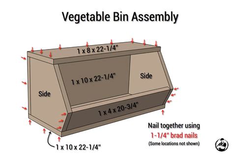 Vegetable Storage Bin Plans Free