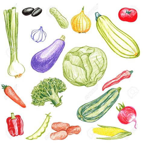 Vegetables Drawing Vegetable