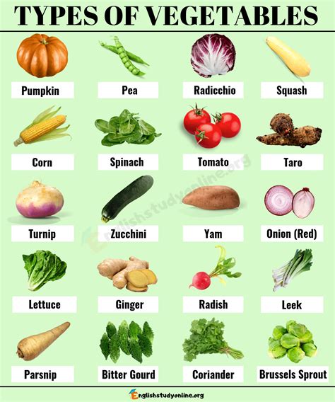 Vegetables Examples List