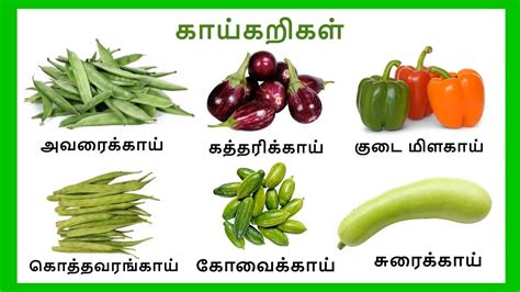 Vegetables in Tamil