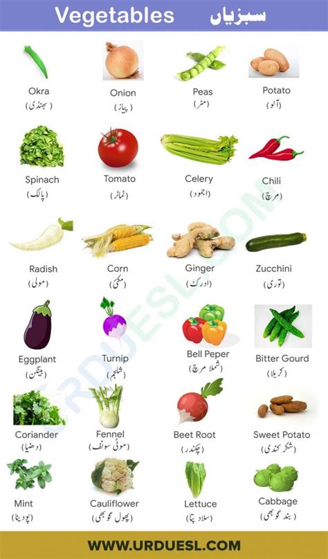 Vegetables in Urdu
