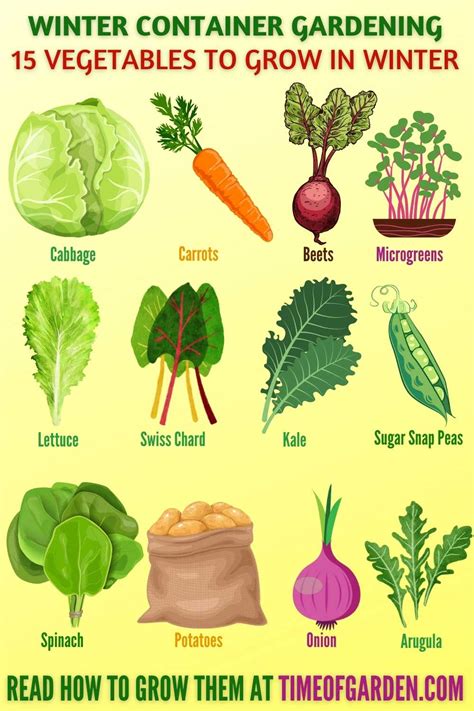 Growing Winter Vegetables to Help Survive the Cold Season