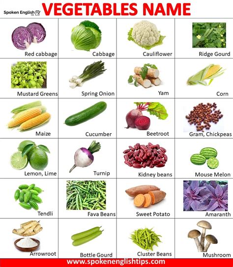 Vegetables List Indian