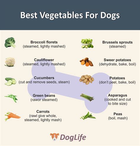 Vegetables Ok Dogs