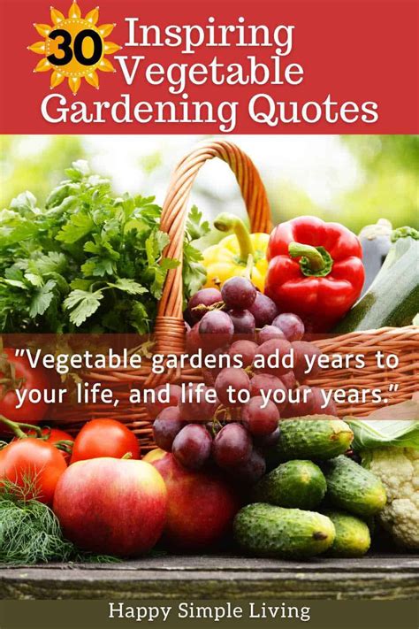 Vegetables Quotes