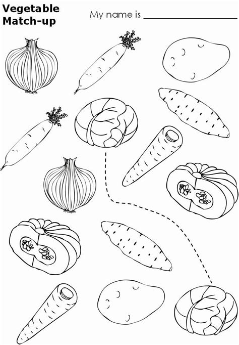vegetables worksheets for kindergarten pdf