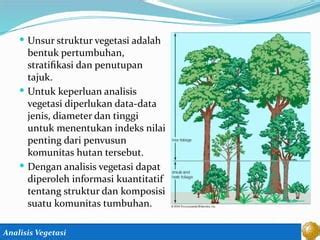 Analisis Vegetasi Pengertian, Proses dan Tujuan