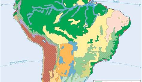 South America's Vegetation and Constraints