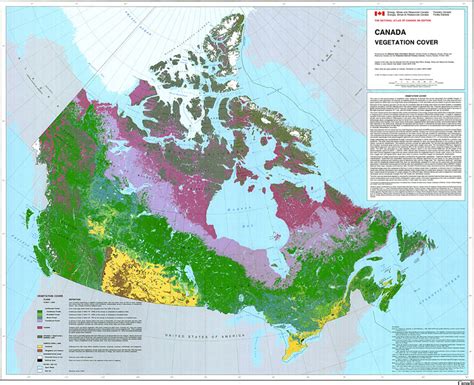 Vegetation Cover Examples