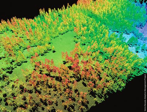 vegetation mapping using satellite imagery