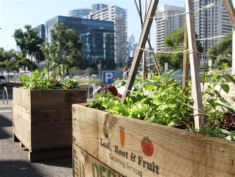 Veggie Patch Crates Melbourne