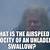 velocity of an unladen swallow quote