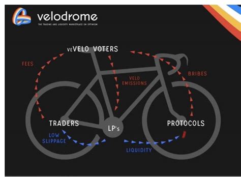 velodrome finance connect