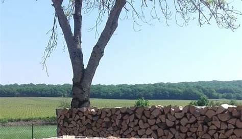 Bois de chauffage - 25 cm - Sec - Mélange de bois durs - Palette 2 m3