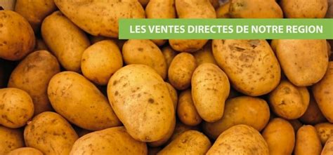 vente pomme de terre direct producteur