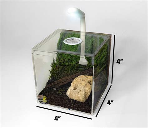 Vented Terrarium
