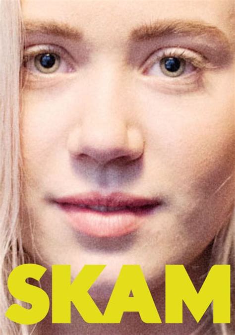 ver skam temporada 2