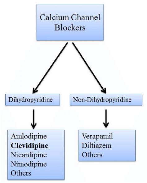 verapamil drug class dihydropyridine