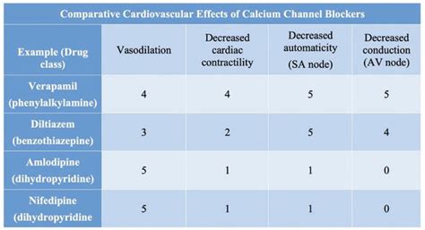 verapamil onset of action