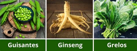 Letra g colorida con verduras Descargar Fotos gratis