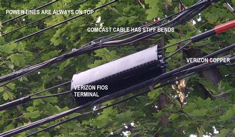 Verizon Cable Lines