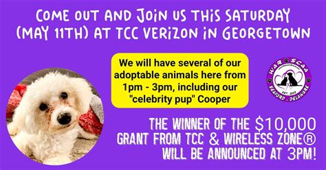 verizon georgetown de