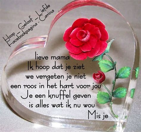 ᐅ fijne moederdag in de hemel Moederdag Leukeplaatjes.nl