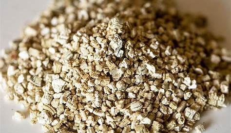 Gardening With Vermiculite Vermiculite Uses And Information