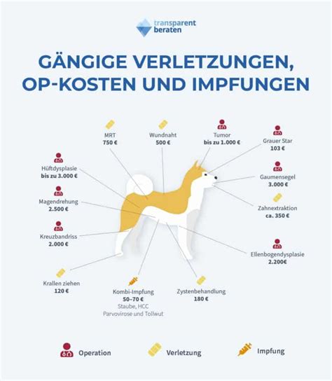 Average Cost of Pet Insurance 2019 Facts and Figures ValuePenguin