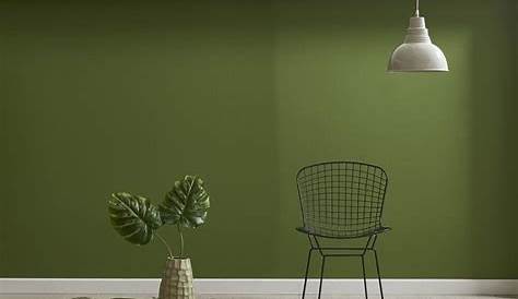 Peinture vert olive pour meuble en bois brut 1 litre