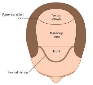 vertex of the scalp