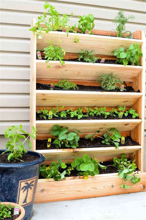 vertical backyard garden