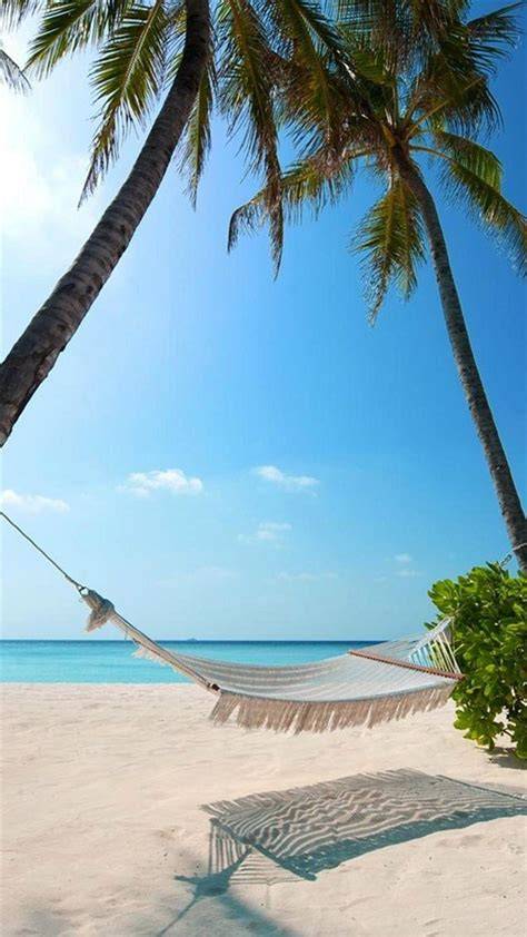 Vertical Beach Images