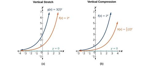 vertical compression of exponential function