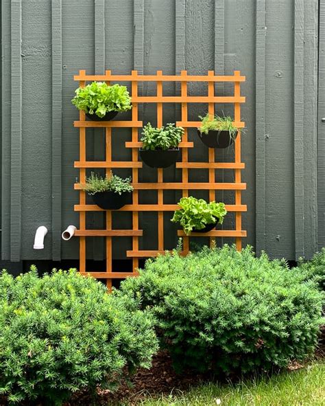 Vertical Garden Trellis Ideas