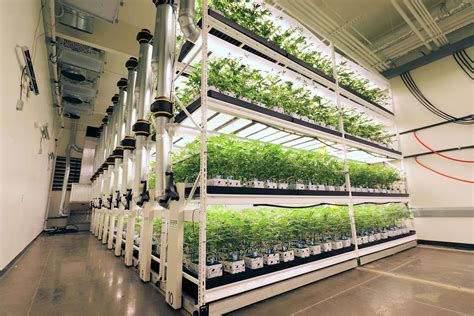 Vertical Grow Rack System