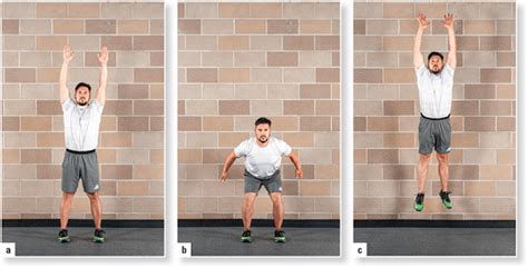 Vertical Jump Record Cm