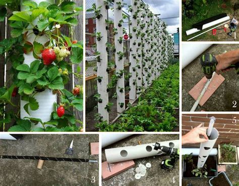 Easy Vertical Garden Pipes Design Ideas26 Garden projects, Diy garden