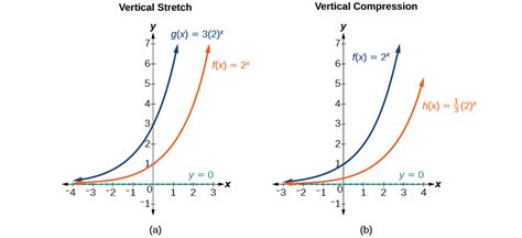 vertical stretch exponential function