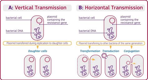 Vertical Transmission Examples